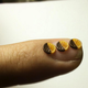 Illustration for article titled Japanese Miniature Art Dazzles All